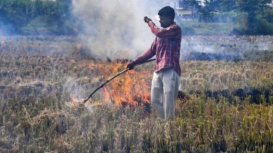 यूपी में पराली बढ़ाएगी किसानों की आय, होगी बंपर कमाई...