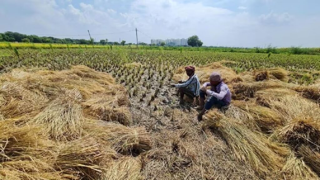 यूपी में पराली बढ़ाएगी किसानों की आय, होगी बंपर कमाई...