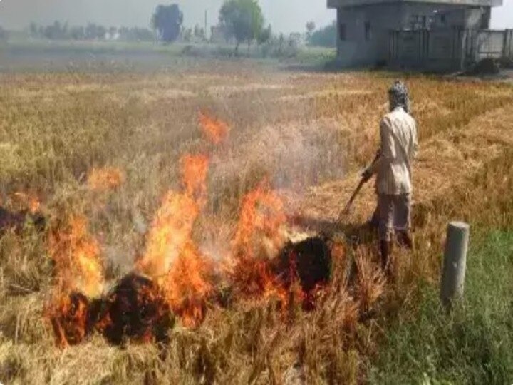 यूपी में पराली बढ़ाएगी किसानों की आय, होगी बंपर कमाई...