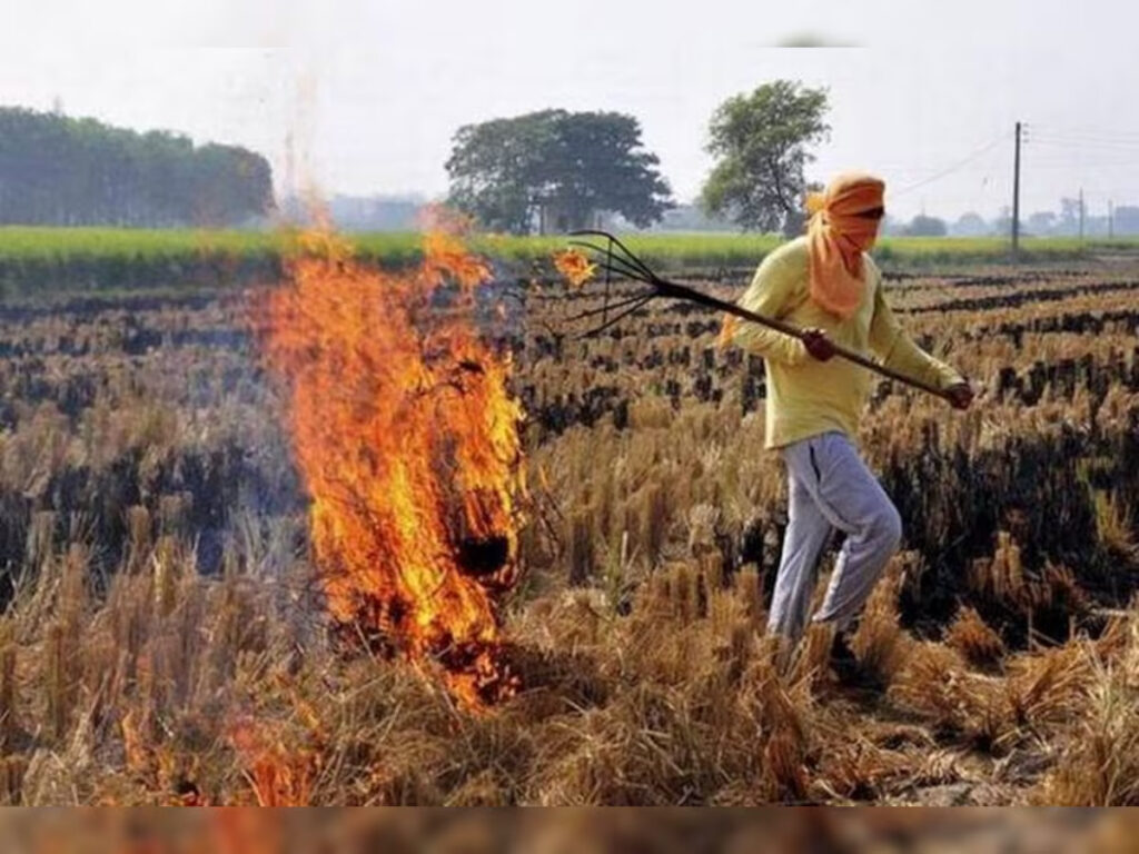 यूपी में पराली जलाने वाले किसानो पर रखी जा रहीं नजर, होगी कडी कार्यवाही ?