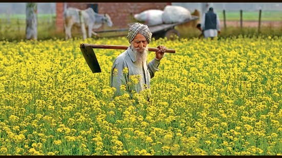 योगी सरकार का ये तोहफा , किसानों के काम की ये योजना