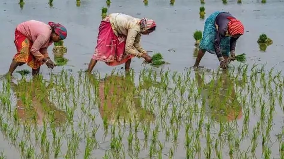 Kisan news: yogi सरकार ने किसानों को दी बड़ी सौगात, अनुपूरक बजट में खोल दिया खजाना