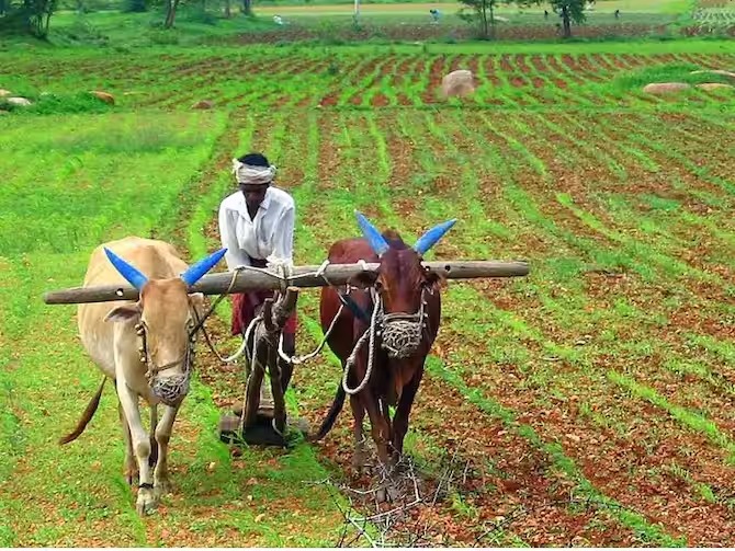 Kisan news: yogi सरकार ने किसानों को दी बड़ी सौगात, अनुपूरक बजट में खोल दिया खजाना