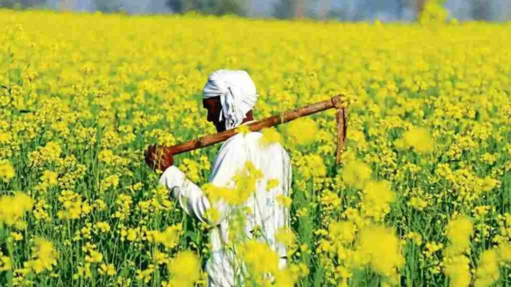 बारिश के मौसम से kisan की बढ़ी टेंशन, इन फसलों को होगा नुकसान…