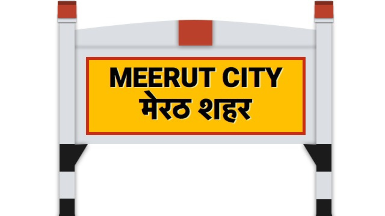 Meerut में चिकित्सक दंपती को ऑनलाइन हाउस हेल्प की तलाश करनी भारी पड़ी...