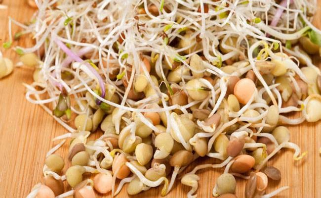 sprouted grains को रोजाना खाने से होंगे ये 5 फायदे, जानिए….