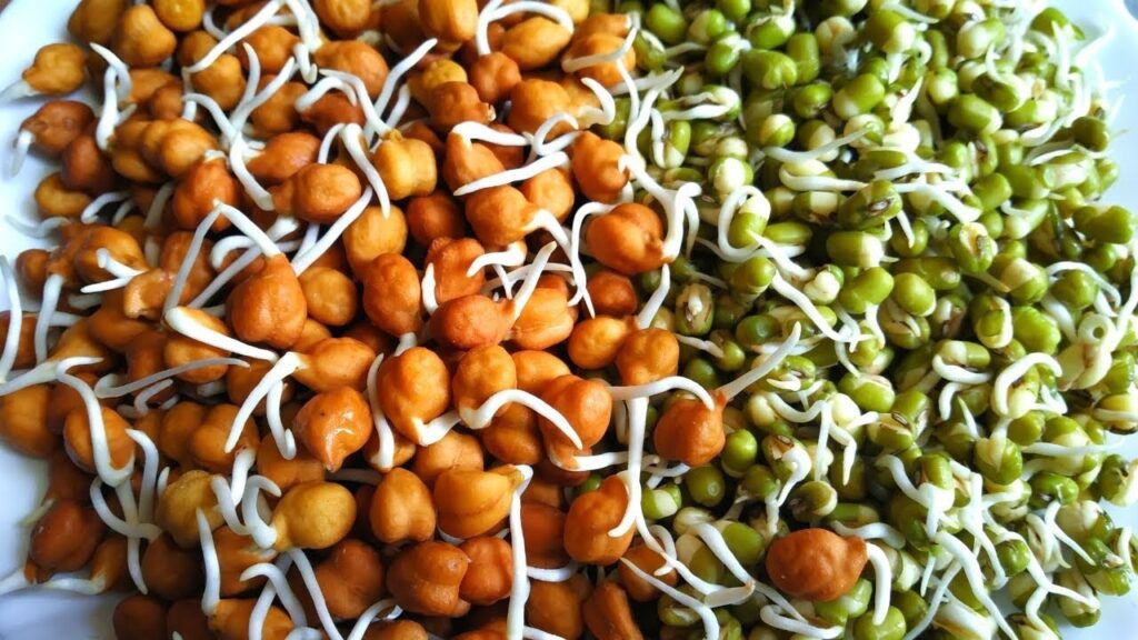 sprouted grains को रोजाना खाने से होंगे ये 5 फायदे, जानिए....