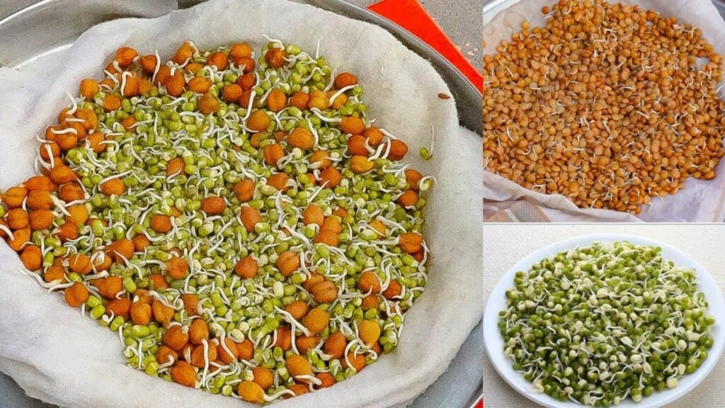 sprouted grains को रोजाना खाने से होंगे ये 5 फायदे, जानिए....