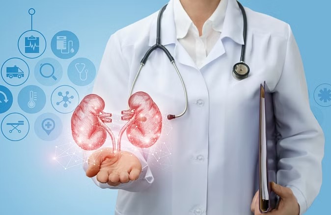 Kidney से संबंधित बीमारियों का जोखिम बढ़ता जा रहा है, क्या है इन बीमारियों का कनेक्शन...