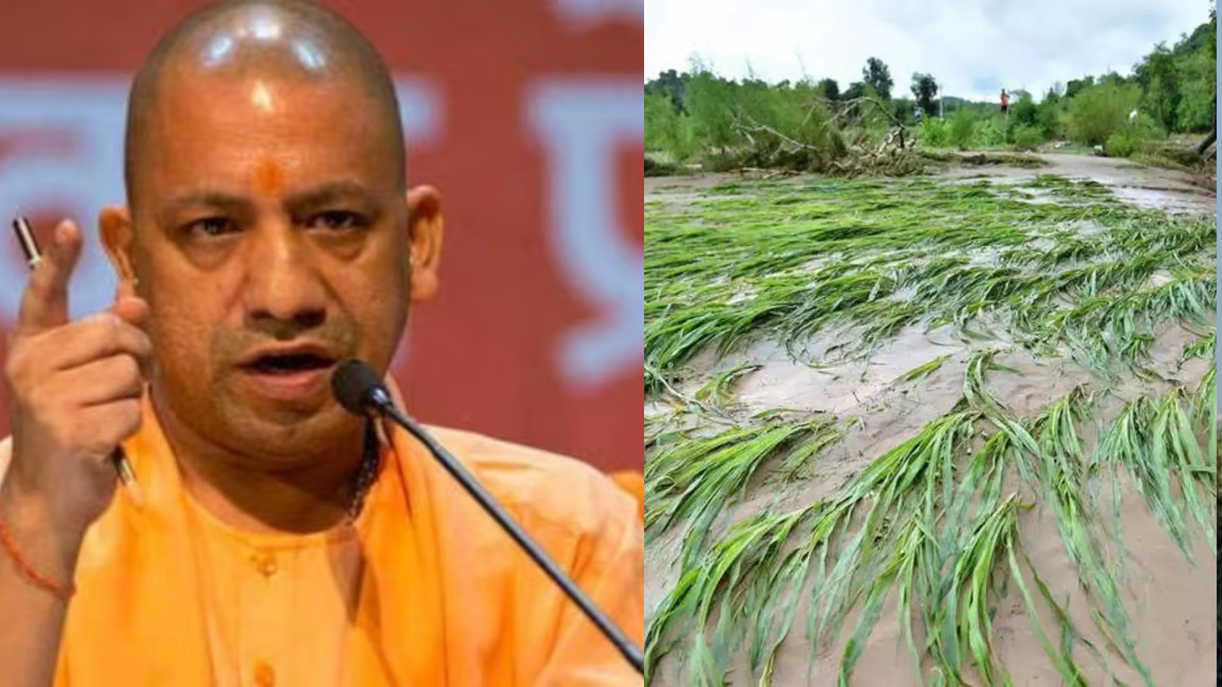 Yogi Sarkar ने लिया बड़ा फैसला, ओलावृष्टि से फसलों के नुकसान की होगी भरपाई…