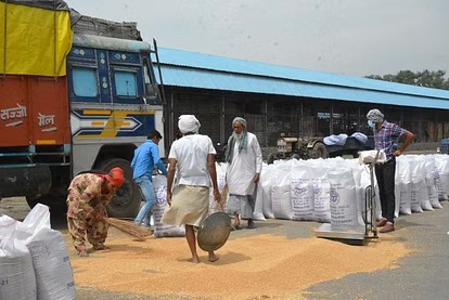 Muzaffarnagar: Purchasing Centers पर गेंहू की खरीद शुरू, पहले दिन खाद्य विभाग के दो क्रय केंद्रो पर 21 क्विंटल खरीद…