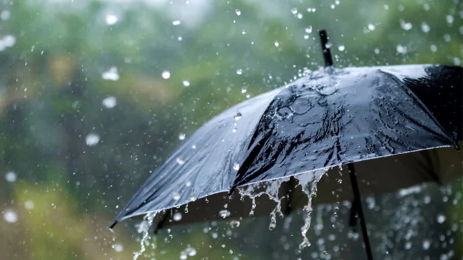 18 अगस्त के बाद होगी Rain , मौसम विभाग ने जारी किया पूर्वानुमान....