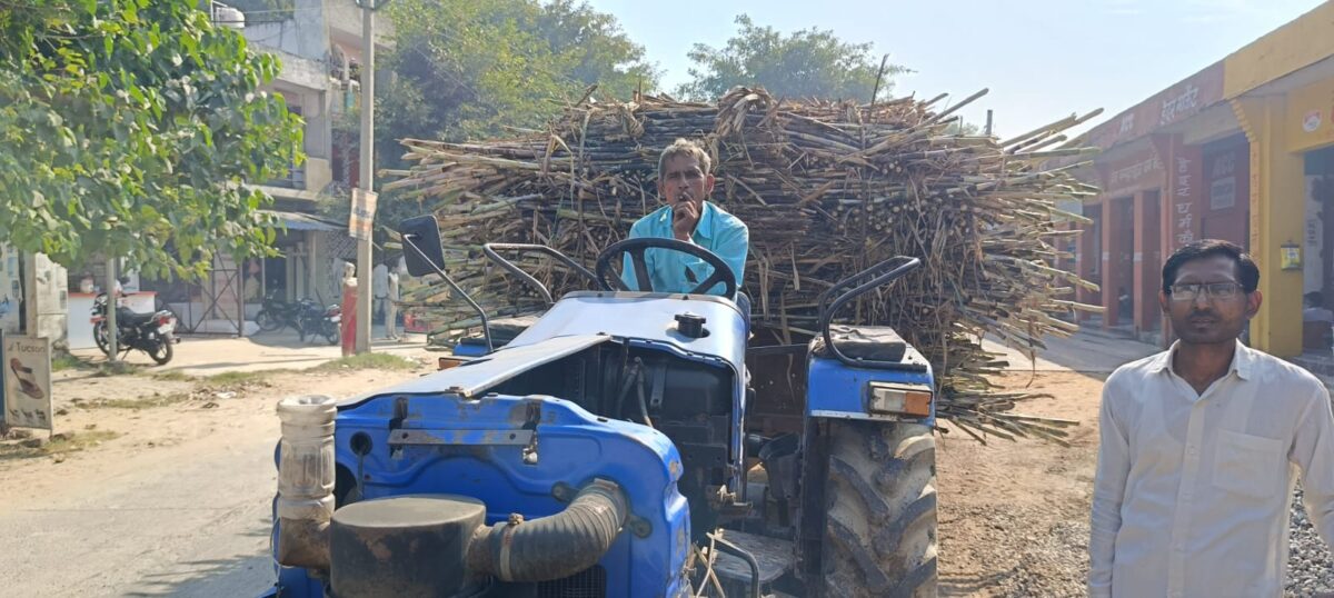 संभल में Farmer कम दामों में गन्ना बेचने के लिए मजबूर, जाने क्या है वजह...