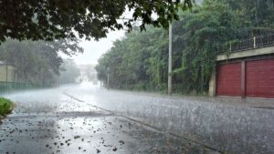 इन तीन जिलों में Rain का अलर्ट, जानें अपने जिले का हाल...