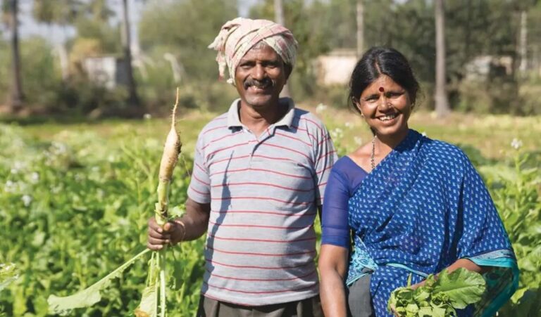 केंद्र सरकार का farmers को बड़ा तोहफा, रबी की फसलों में बढ़ोतरी...