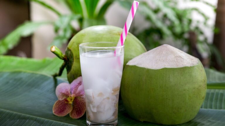 coconut water सर्दियों में भी करता है फायदा, पीने से बीपी भी कंट्रोल...