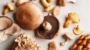 mushroom को लंबे समय तक स्टोर करने का तरीका जानने के लिए देख ये रिपोर्ट...