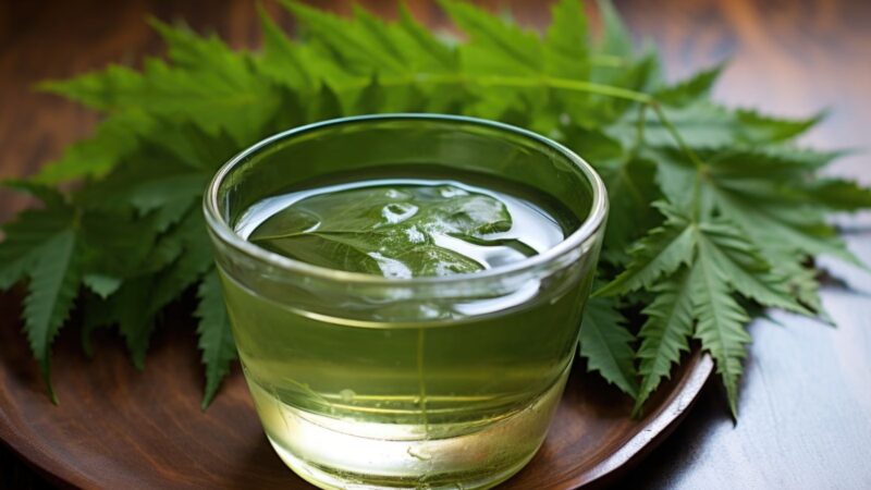 neem shot को रोजाना खानी पेट पीने से मिलते हैं ये कई फायदे…