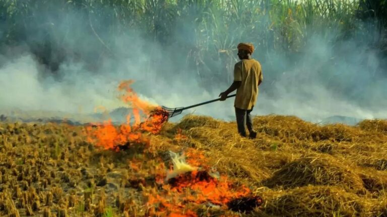 इन दो राज्यों में stubble जलाने की घटनाएं हुईं कम, चुनौती बरकरार...