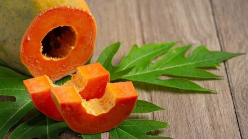 Papaya रोज खाने से कैंसर रहेगा दूर और होगा वेट लॉस, जानने के लिए देखे ये रिपोर्ट…