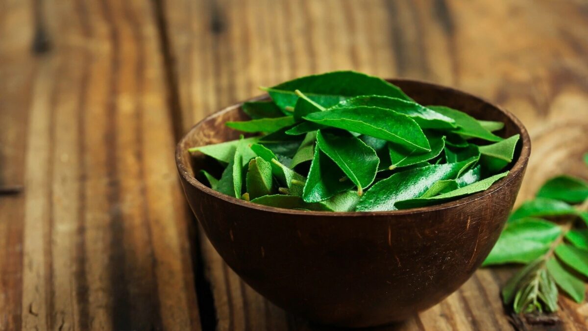 curry leaves का पानी पीने से सेहत से जुड़ी समस्याएं हो जाएंगी दूर, पाचन तंत्र को सुधारने में मदद...