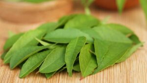 curry leaves का पानी पीने से सेहत से जुड़ी समस्याएं हो जाएंगी दूर, पाचन तंत्र को सुधारने में मदद...