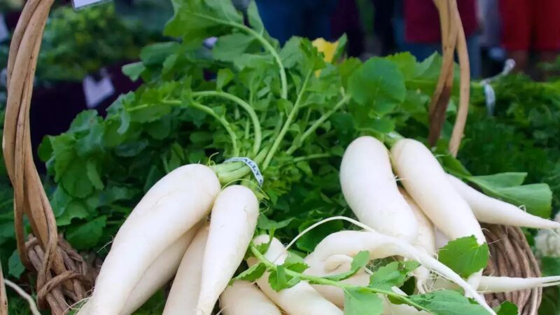 radish के पत्ते कचरा नहीं सेहत का हैं खजाना, बीपी भी होगा कंट्रोल…