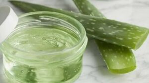 Aloe Vera जेल सर्दियों में किसी वरदान से नहीं है कम, होते है कई फायदे...