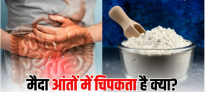 क्या सचमुच आंतों में चिपक जाता है Fine flour? एक्सपर्ट से जानें इस दावे की सच्चाई