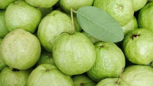 Guava कई पोषक तत्वों से होता है भरपूर फल, डाइट में शामिल करने के कइ फायदे...