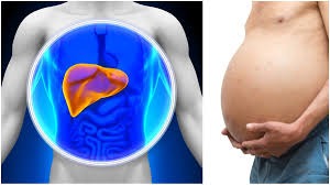 Liver में फैट बढ़ने पर दिखाई देते हैं ये 5 लक्षण,पढ़े पूरी रिपोर्ट