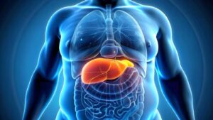 Liver में फैट बढ़ने पर दिखाई देते हैं ये 5 लक्षण,पढ़े पूरी रिपोर्ट