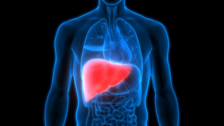 3 हिस्सों में दर्द होने पर समझ जाएं पूरी तरह सड़ चुका है Liver , इग्नोर करना पड़ सकता है भारी