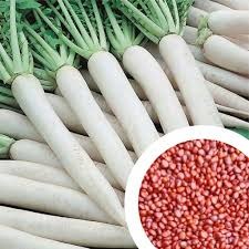 चेहरे के पुराने से पुराने दाग धब्बे हटाएंगे Radish के बीज,