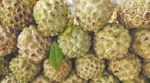 custard apple स्किन के लिए होता है वरदान, हैरान कर देंगे इसके गजब के फायदे...