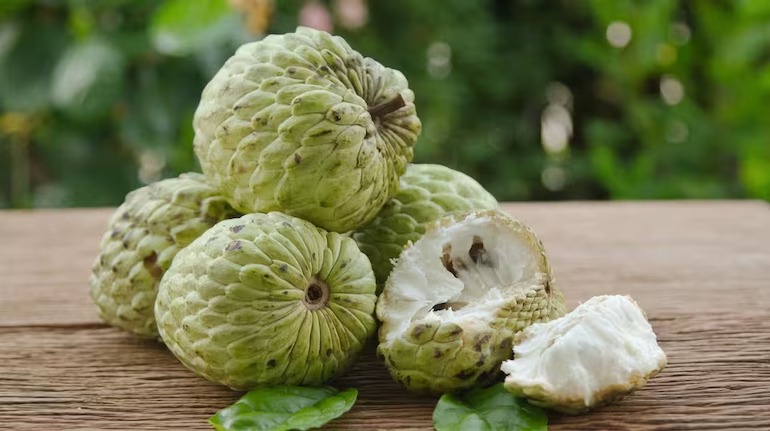 custard apple स्किन के लिए होता है वरदान, हैरान कर देंगे इसके गजब के फायदे...