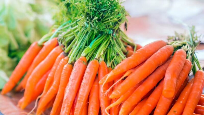 Carrot कई लोगों की होती है पसंदीदा सब्जी, खाने से सेहत को ढरे सारे फायदे…