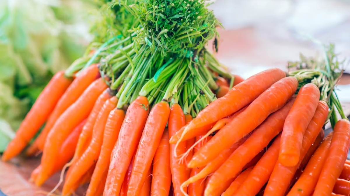 Carrot कई लोगों की होती है पसंदीदा सब्जी, खाने से सेहत को ढरे सारे फायदे...