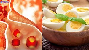 क्या अंडा खाने से बढ़ जाता है Cholesterol लेवल? जानने के लिए देखे ये रिपोर्ट…