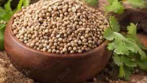 Coriander के बीज का सुबह खाली पेट पानी पीने से सेहत को मिलेंगे ये कई फायदे...