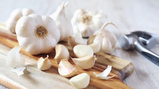 Garlic