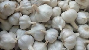 Garlic को गुनगुने पानी के साथ खाने से इन बीमारियों से मिलेगा छुटकारा...