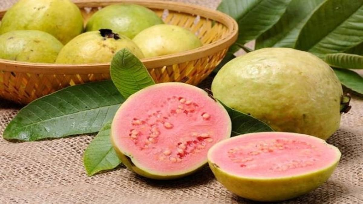 Guava में कई जरूरी पोषक तत्व होते हैं मौजूद, भूनकर खाने से मिलते है कई फायदे...