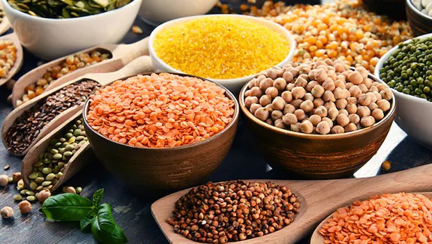 ये हाई प्रोटीन Lentils खाने से मिलेगे ये फायदे, बिना मेहनत ही कम होने लगेगा वजन…