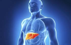 Liver में इन्फेक्शन होने पर शरीर में दिखाई देते हैं 5 लक्षण...