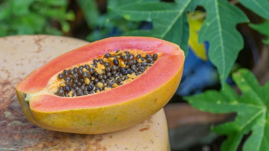 Papaya के पत्तो में छिपा है सेहत के गुणो का खजाना, जूस पीने से होते है ये कई फायदे...