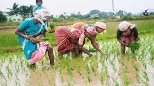 Farmers को योगी सरकार ने होली से पहले दी बड़ी खुशखबरी, किया ये ऐलान...