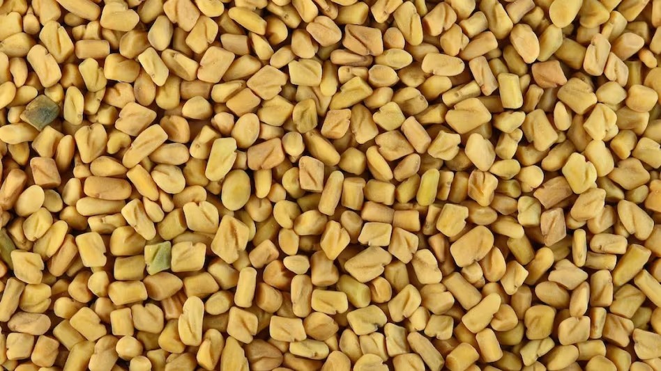 Fenugreek