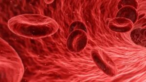 Hemoglobin बढ़ाने के लिए खाएं ये 10 फ्रूट्स, डाइट में शामिल करे ये फ्रूट्स ...