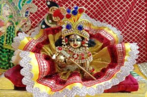 Laddu Gopal के साथ इस तरह मनाएं होली, रंगों से भर जाएगा जीवन...